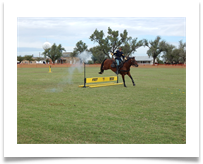 Cavalry action, courtesy of Greg Klugiewicz