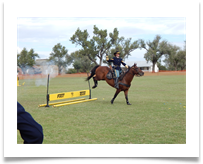 Cavalry action, courtesy of Greg Klugiewicz