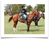 Cavalry action, courtesy of Greg Klugiewicz