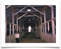 In the Stables, US Cavalry Association